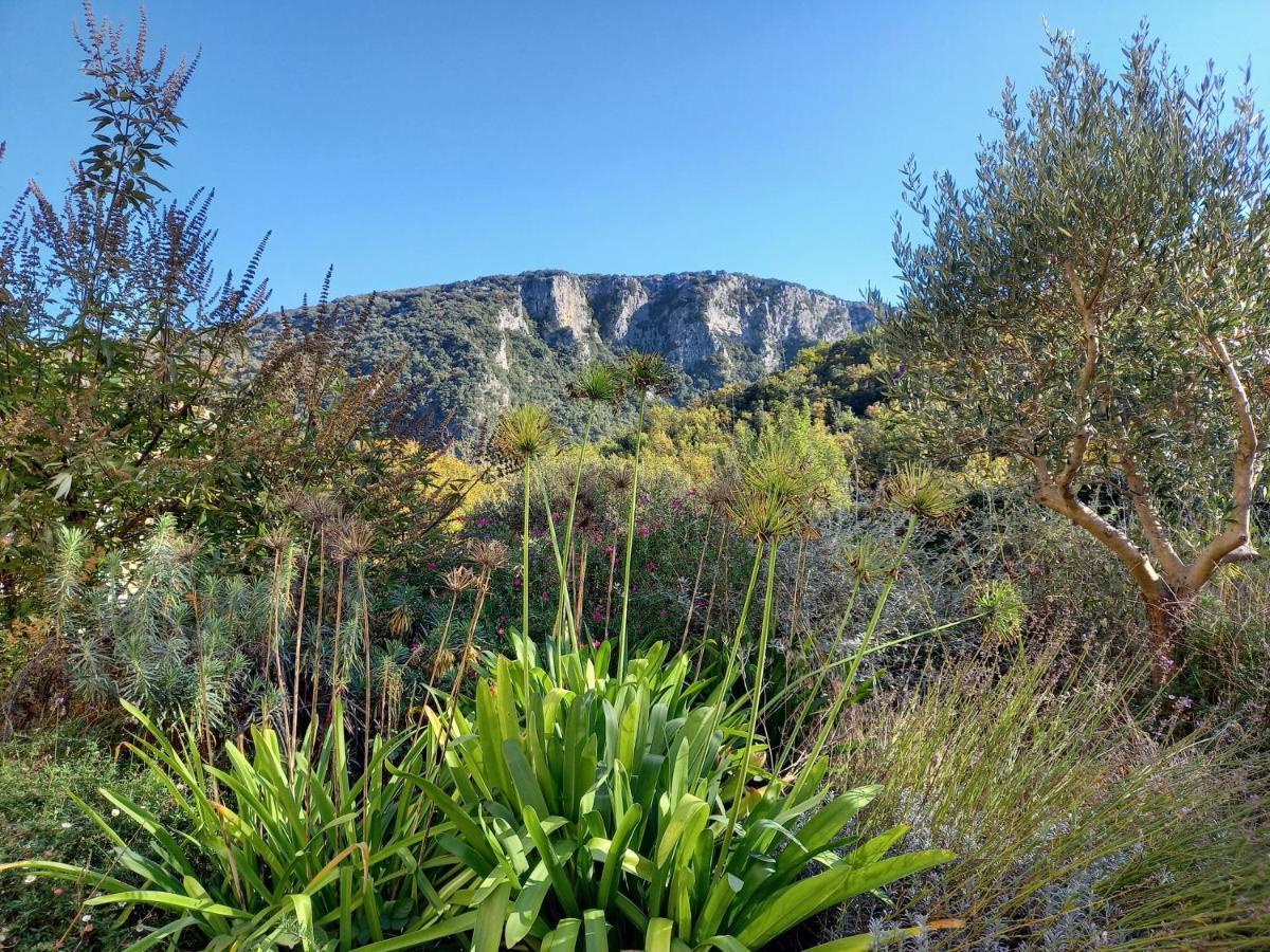Gite En Cevennes Du Sud, Bergerie Restauree Au Rez De Jardin D'Une Bastide Avec Piscine, Vue Exceptionnelle, Authenticite Et Confort Saint-Laurent-le-Minier Eksteriør bilde
