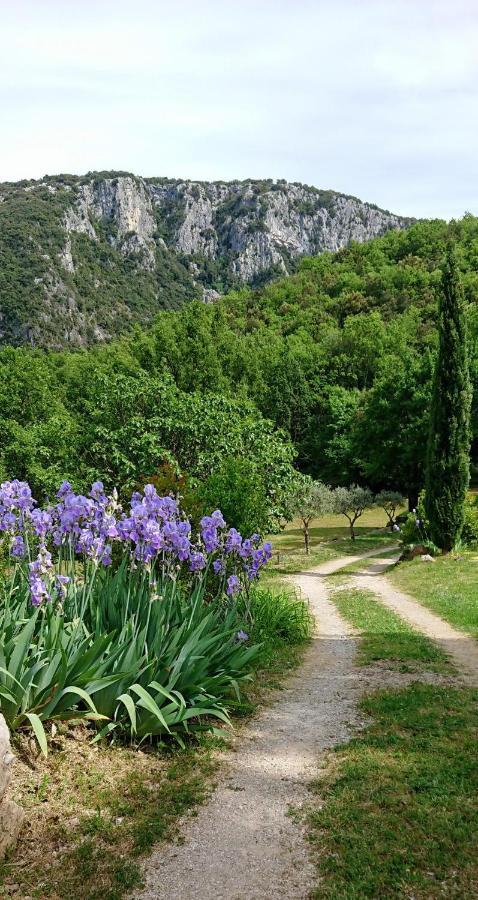 Gite En Cevennes Du Sud, Bergerie Restauree Au Rez De Jardin D'Une Bastide Avec Piscine, Vue Exceptionnelle, Authenticite Et Confort Saint-Laurent-le-Minier Eksteriør bilde