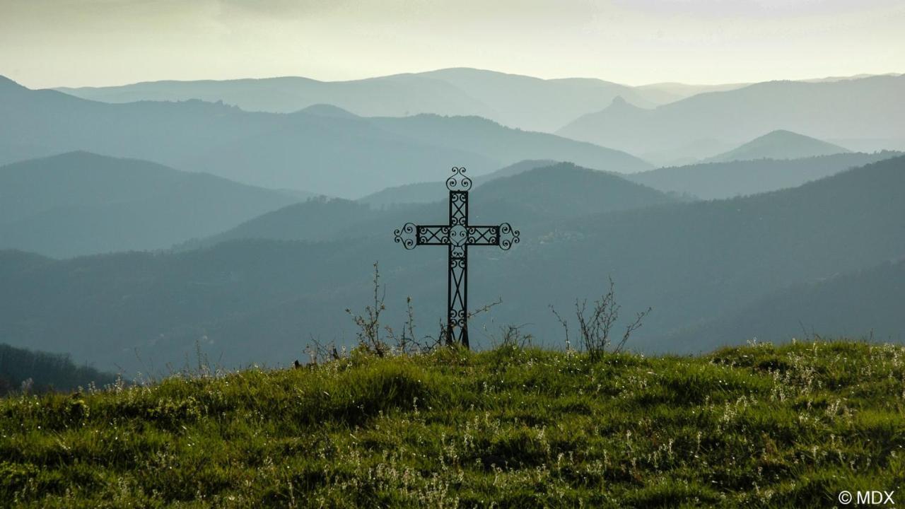 Gite En Cevennes Du Sud, Bergerie Restauree Au Rez De Jardin D'Une Bastide Avec Piscine, Vue Exceptionnelle, Authenticite Et Confort Saint-Laurent-le-Minier Eksteriør bilde